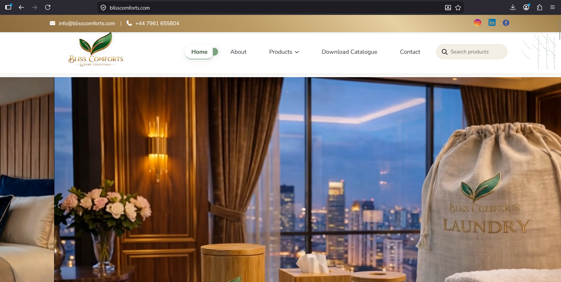 Luxury hotel website development project